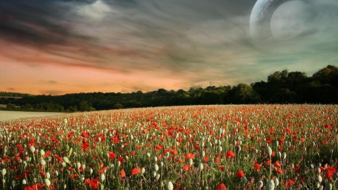 传苹果将收购社交服务 Path，整合入 iMessage